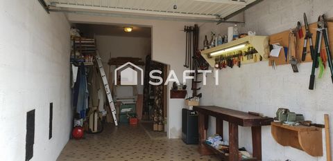 photo no. 11