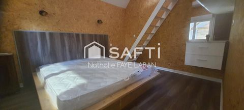 photo no. 8