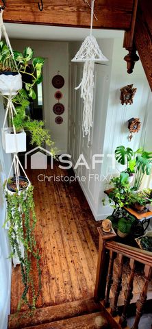 photo no. 14