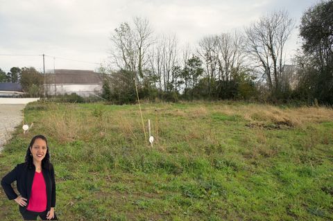 photo no. 2