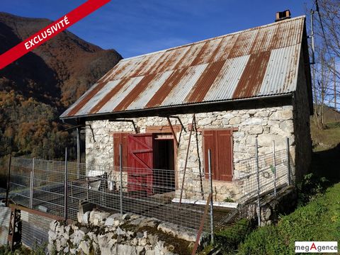 photo no. 10