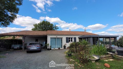 photo no. 16