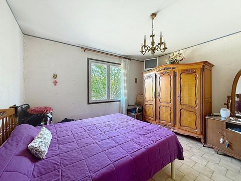 photo no. 11