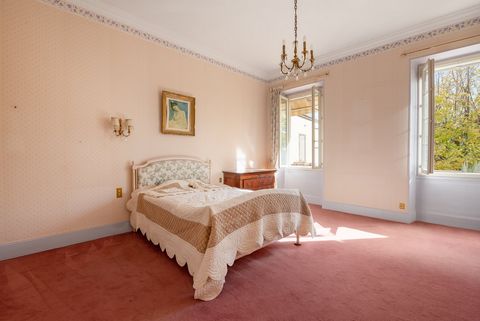 photo no. 9