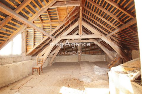 photo no. 12