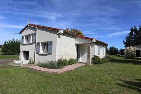 photo no. 1