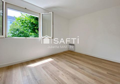 photo no. 6