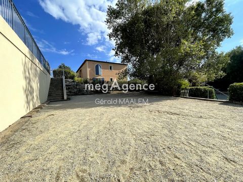 photo no. 15