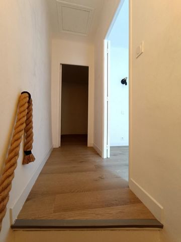 photo no. 5