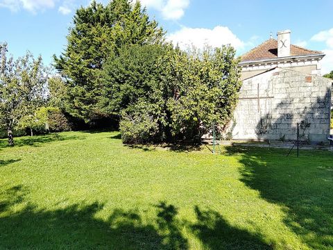 photo no. 4