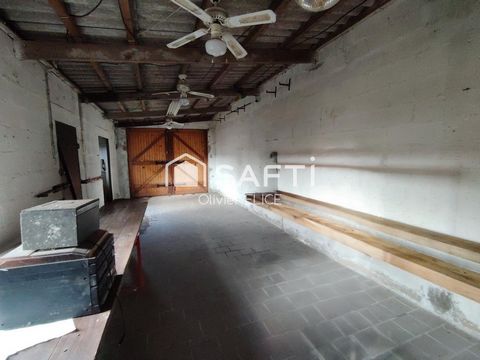 photo no. 11