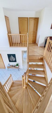 photo no. 11