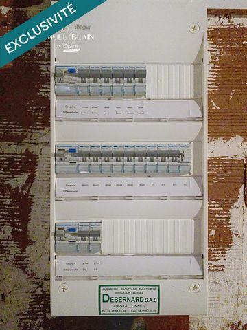 photo no. 8