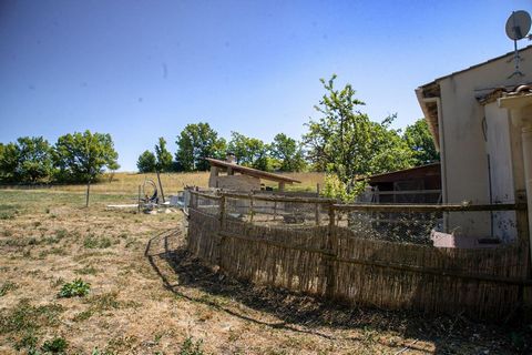 photo no. 4