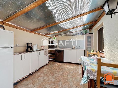 photo no. 11