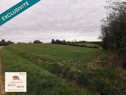 Terrain agricole sans DPU en prairie