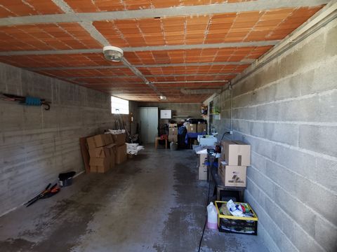 photo no. 12