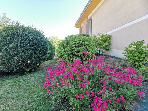 photo no. 14