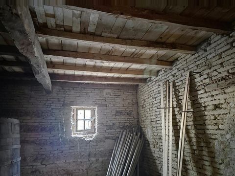 photo no. 13