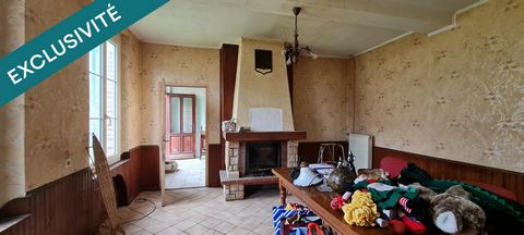 photo no. 7