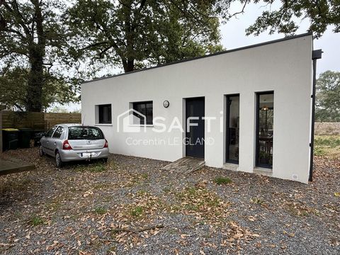photo no. 12