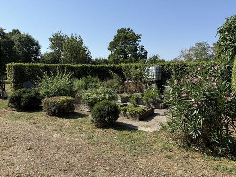 photo no. 25