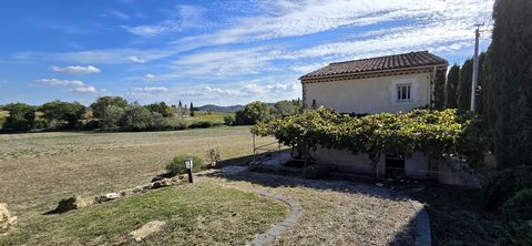 photo no. 13