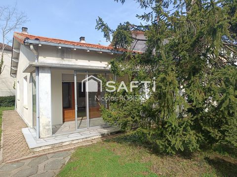 photo no. 12