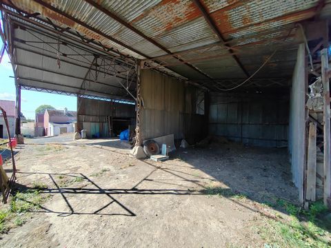 photo no. 3