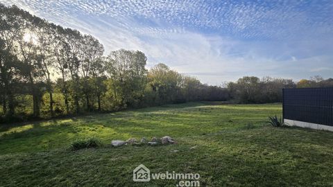 photo no. 9