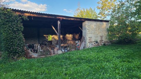 photo no. 14