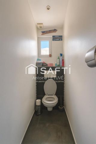 photo no. 6