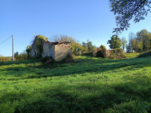 photo no. 13