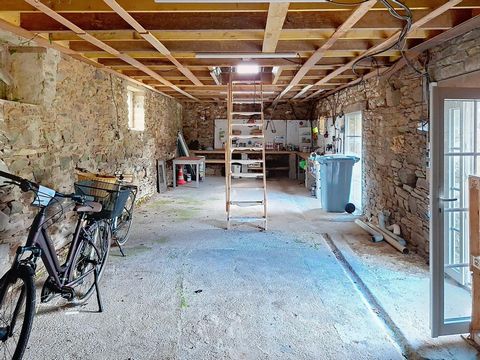 photo no. 14