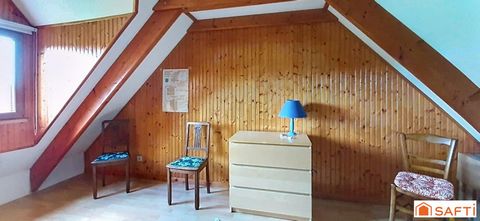 photo no. 11
