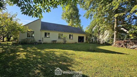 photo no. 12