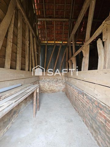 photo no. 12