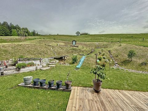 photo no. 19