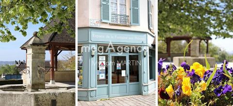 APPARTEMENT 2 PIECES VUE TOUR EIFFEL