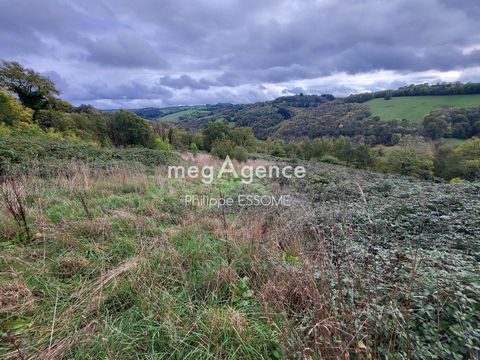 TERRAIN AGRICOLE AVEC POSSIBILITÉ DE CERTIFICATION BIO IMMÉDIATE