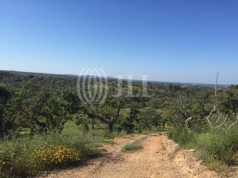 Land of 16.13 ha, with an approved previous information request (PIP), in São Francisco da Serra, in the region of Melides. The property is composed of a cork oak forest, arable crop as well as a watercourse. The land has a panoramic view over the mo...