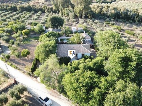 Spectacular chalet of 244m2 build on the outskirts of Albendín, Baena, in the province of Córdoba, Andaluia, Spain. The property has a generous size plot of 4,959m2 and comprises of a single level house with 5 double bedrooms with fitted wardrobes, 3...