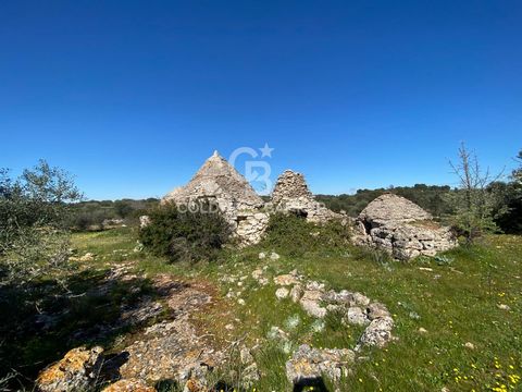 APULIA. ITRIA VALLEY TRULLI WITH SECULAR OLIVE GROVE Coldwell Banker offers for sale, exclusively, a characteristic trullo, to be restored, between Martina Franca and Villa Castelli, immersed in a centuries-old olive grove of more than 3 hectares. Go...