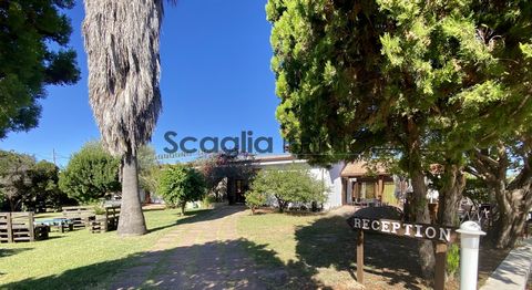 The agency Scaglia immo offers for sale, an investment building of 2000 m2 of floor area with restaurant, on 12,000 m2 of land with swimming pool. Operated as a 36-room hotel restaurant in a tourist area of the spa village of Santa Maria de Coghinas....