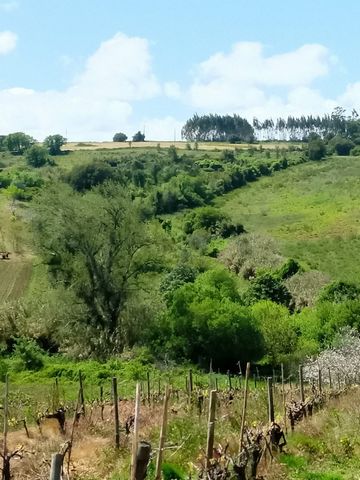 Terreno rústico con 4920m2, situado a 5km de Arruda dos Vinhos. Con algo de producción agrícola en tierras contiguas. ¡Ven a conocernos!