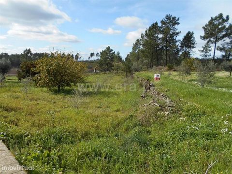 Farm with 2129m2, a well, with lemon trees, orange trees, fig trees, and olive trees, good land for cultivation. Two shale buildings with urban article. Electricity and water from the mains to the door. Good tar access. Excellent opportunity! Exclude...