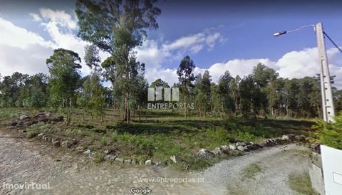Sale of forest land, Mazarefes, Viana do Castelo. Forest land with 4186m². Ref. VCC13319 FEATURES: Land Area: 4 186 m2 Area: 4 186 m2 Useful Area: 4 186 m2 Energy Efficiency: Exempt ENTREPORTAS Founded in 2004, the ENTREPORTAS group with more than 15...