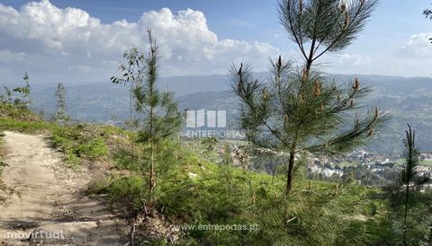 Land for sale with an area of 4200 m2, located in quarry area. It has good access, great sun exposure and great views. Great for stone exploration. Excellent business opportunity! Come visit! São Lourenço do Douro, Marco de Canaveses. Ref.: MC09154 F...