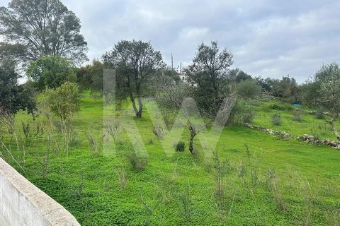 Land, flat, with 880 m2 of area , with construction possibility , located in the center of the village of Casa Branca, Balurcos, Alcoutim. Just 5 minutes from the village of Alcoutim and its river beach, and 25 minutes from the village of Castro Mari...