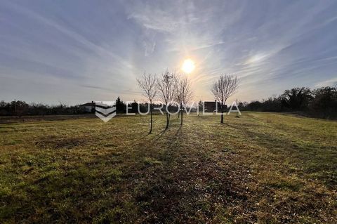 For sale is a beautiful and rectangular building plot located in Žminj, a few kilometers from the city center and not far from the main road. It has an area of 1665 m2, dimensions approx. 85 m x 20 m, and is located within the boundaries of the const...
